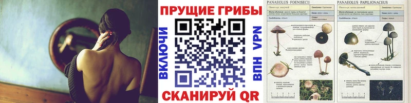 Галлюциногенные грибы ЛСД Алапаевск